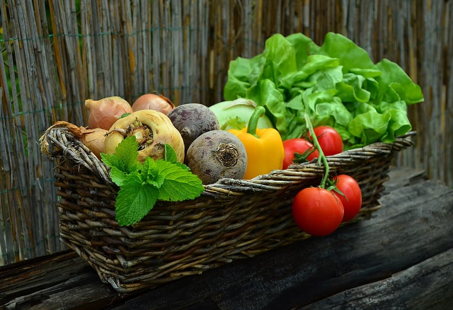 fruits